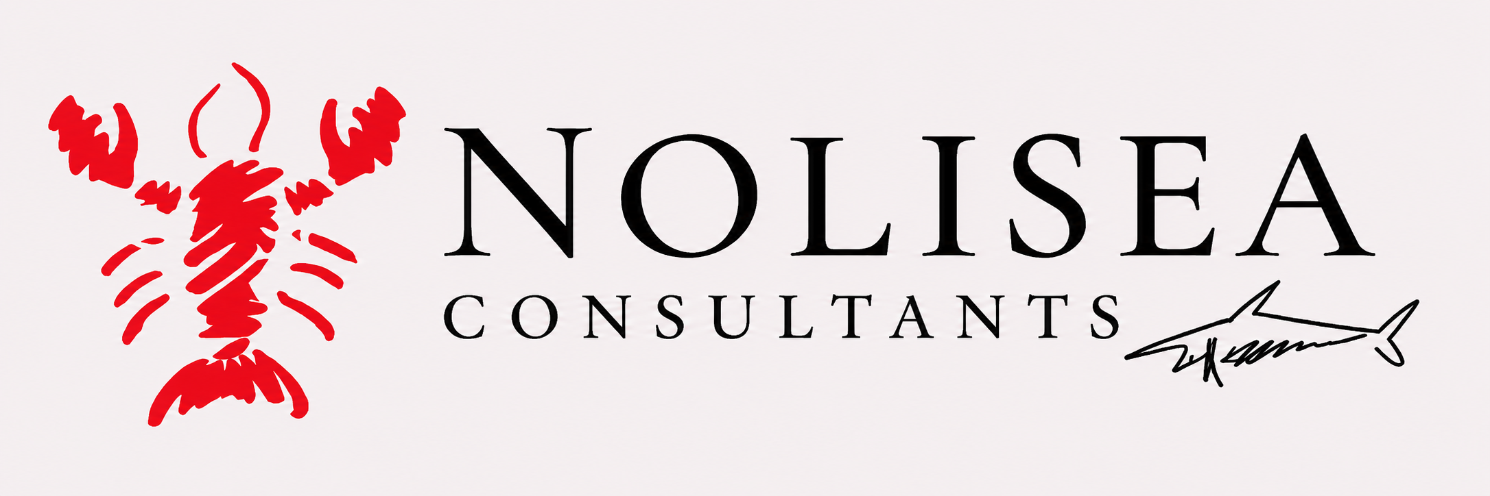 Nolisea Consultants
